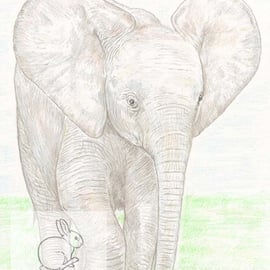 Baby African Elephant - Blank Card