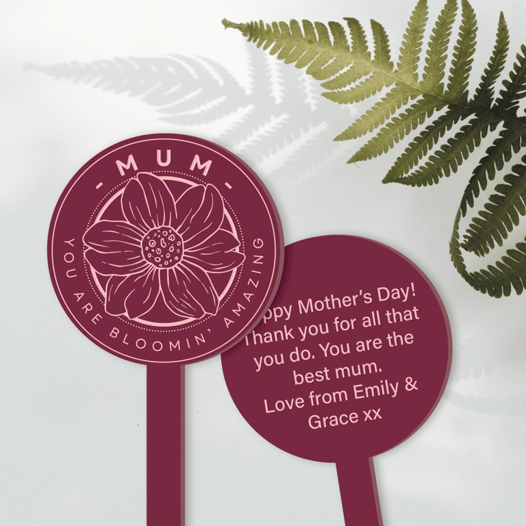 Bloomin' Amazing - Daisy Plant Tag: Cute Personalised Mother's Day Gift For Mum