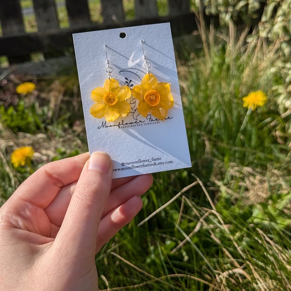Real Dried Daffodil Earrings, Made To Order, Preserved Flower Jewellery 
