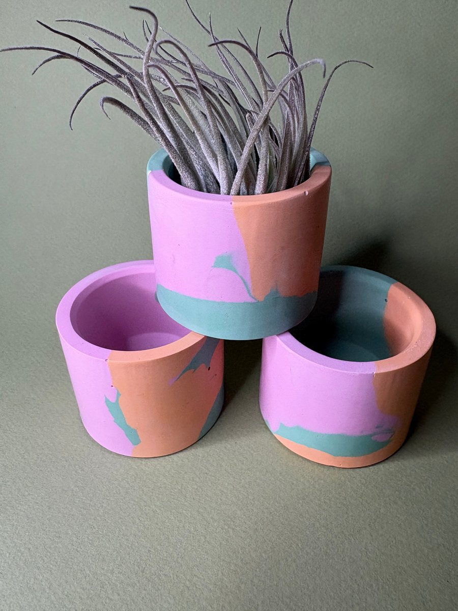 Mini Jesmonite Pot Cactus Air Plant Pink Orange Green Colourway 