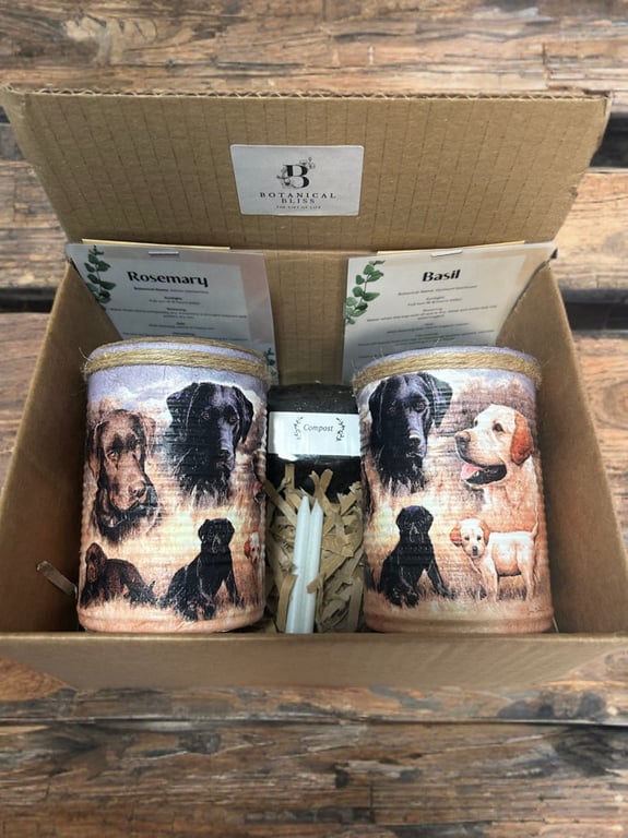 Grow your own herbs gift set indoor house planters Labrador and puppies edition