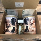 Grow your own herbs gift set indoor house planters Labrador and puppies edition