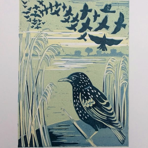 Starlings at Otmoor - linoprint