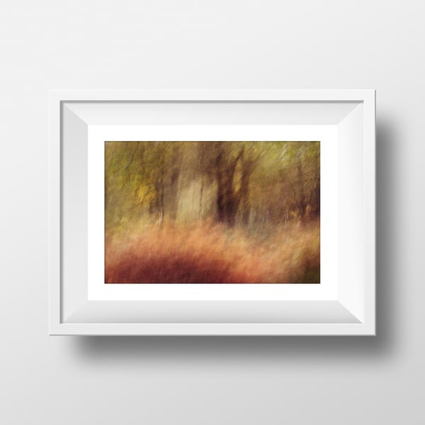 The Copper Tree - Fine Art Photography Print