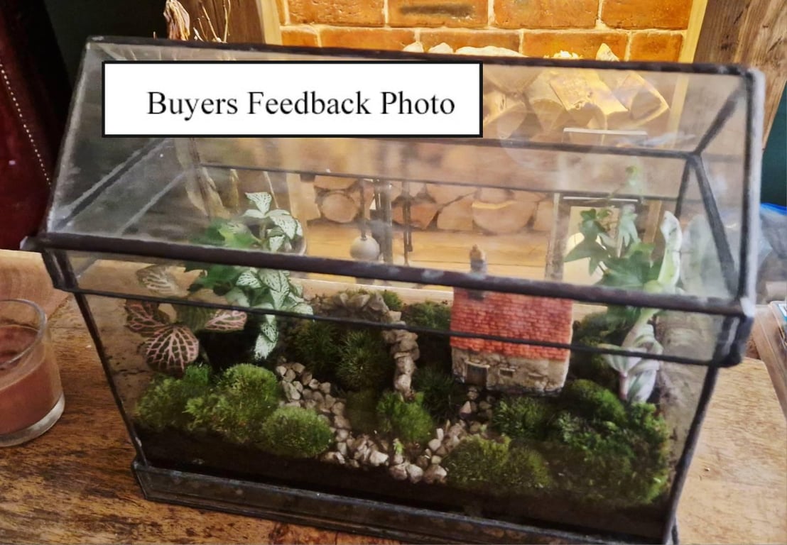 Indoor windowsill planter with corner holes for drainage, plus tray to rest on.