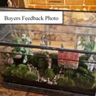 Indoor windowsill planter with corner holes for drainage, plus tray to rest on.