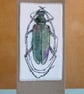 Unique Hand Made Beetle Card with Envelope - Image 2