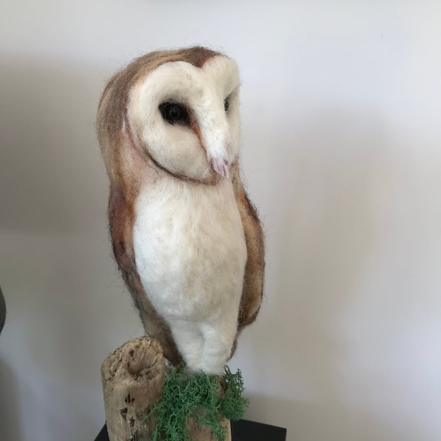 Barn owl-soft sculpture-wool-art-needle felted-bird