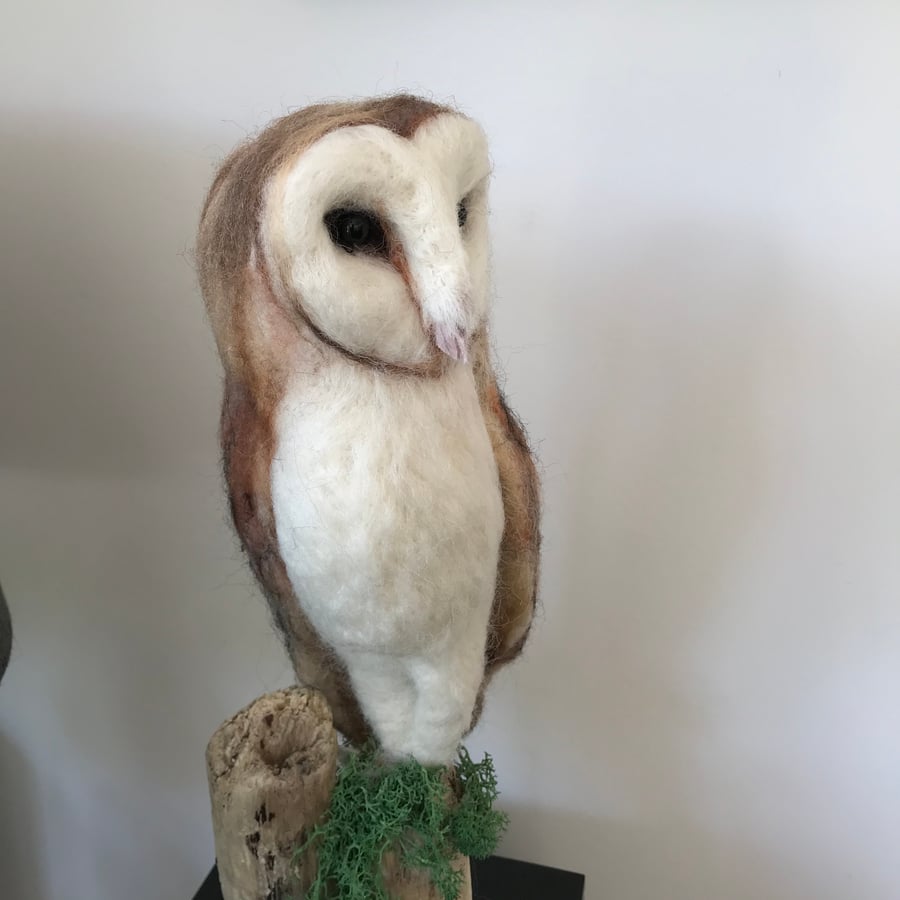 Barn owl soft sculpture wool art needle felted . Folksy