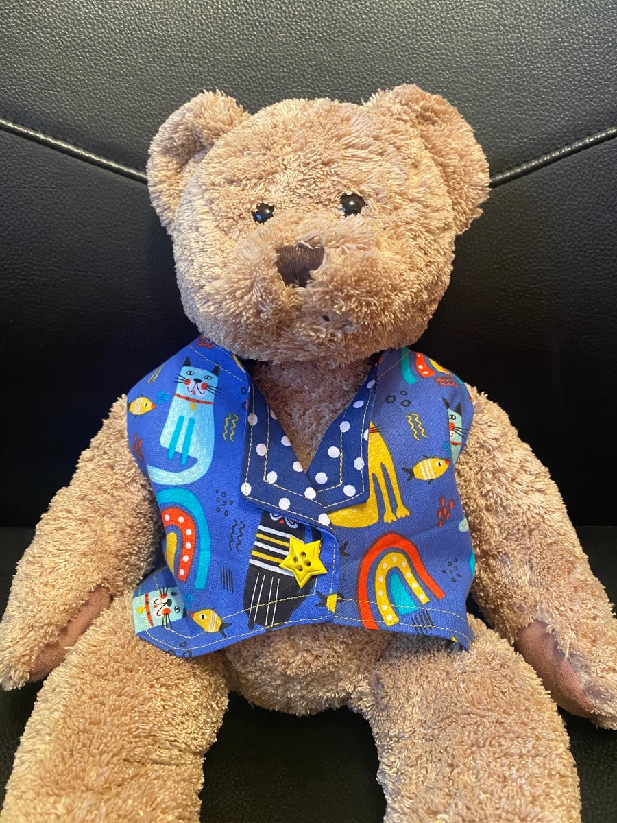 Quirky Cat Large Teddy Waistcoat 