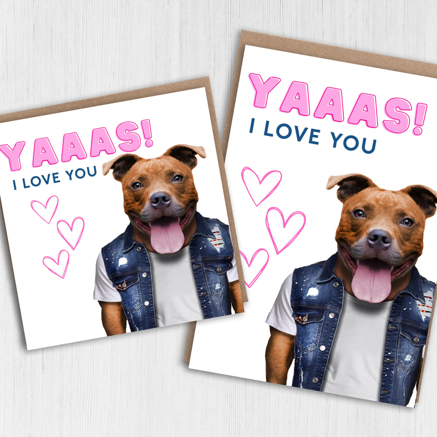 Staffy dog anniversary, Valentine’s Day card: Yaaas I love you