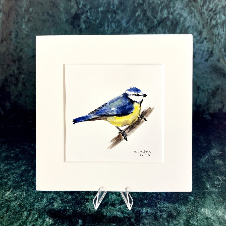 Blue Tit - Original Watercolour Painting