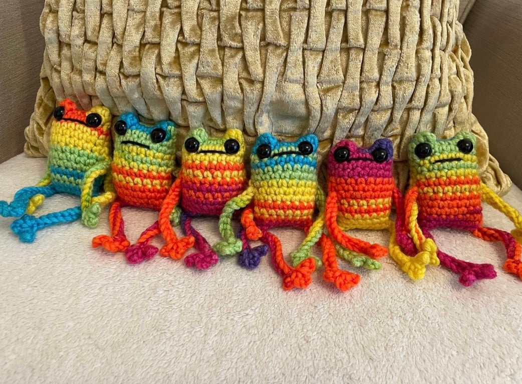 Rainbow cuddly frog and fiddle toy 