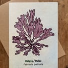 Single Seaweed Greeting Card - Dulse