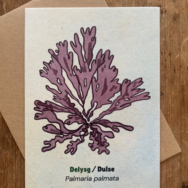 Single Seaweed Greeting Card - Dulse