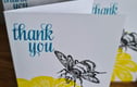 Notecards and thank you cards