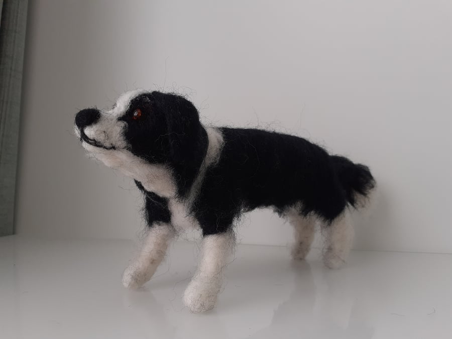 Bill,the Border Collie  dog, needle felted wool sculpture OOAK collectable 