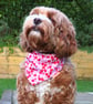 Love Hearts Valentines Dog Bandana - Small - Image 5
