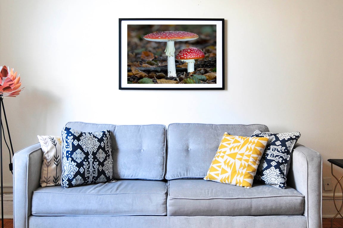 Fly Agaric twins wall art print