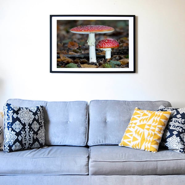 Fly Agaric twins wall art print