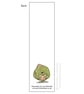 Singing Sprouts Bookmark - Image 2
