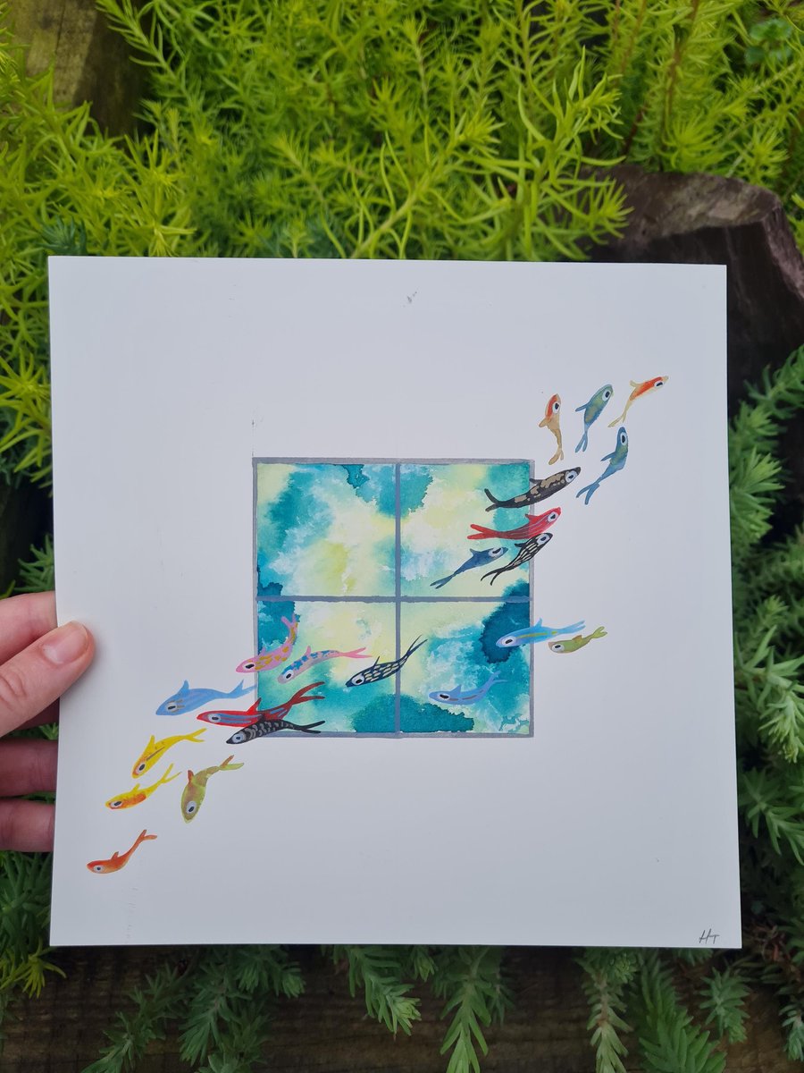Original Watercolour hand painted vibrant, fish art
