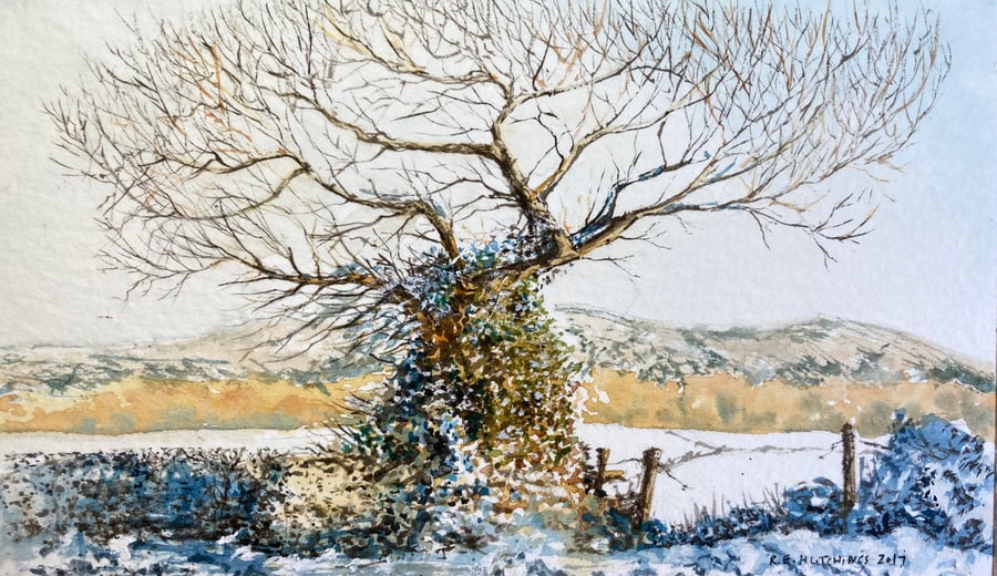 Winter tree study (Pure Original Watercolour FULLY MOUNTED 8” x 6”)