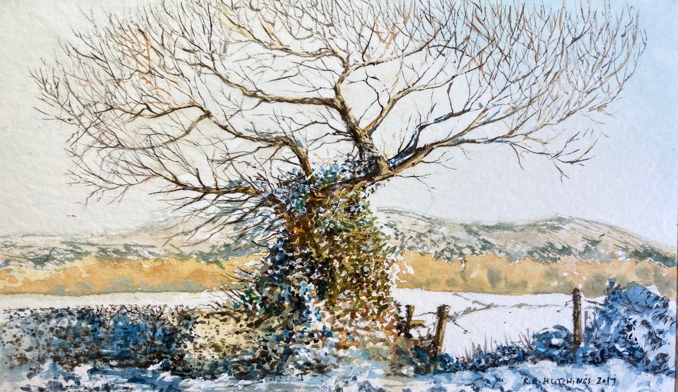 Winter tree study (Pure Original Watercolour FULLY MOUNTED 8” x 6”)