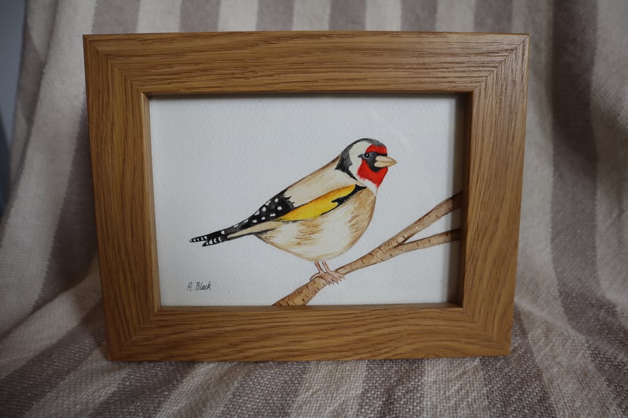 Goldfinch painting - Framed