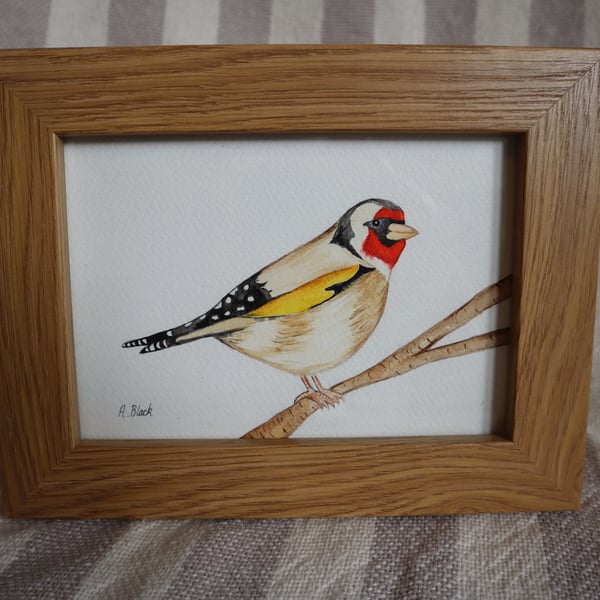Goldfinch painting - Framed
