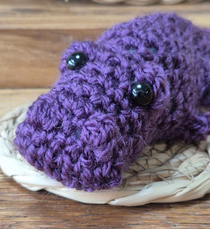Crochet crocodile - Chompy the crocodile 