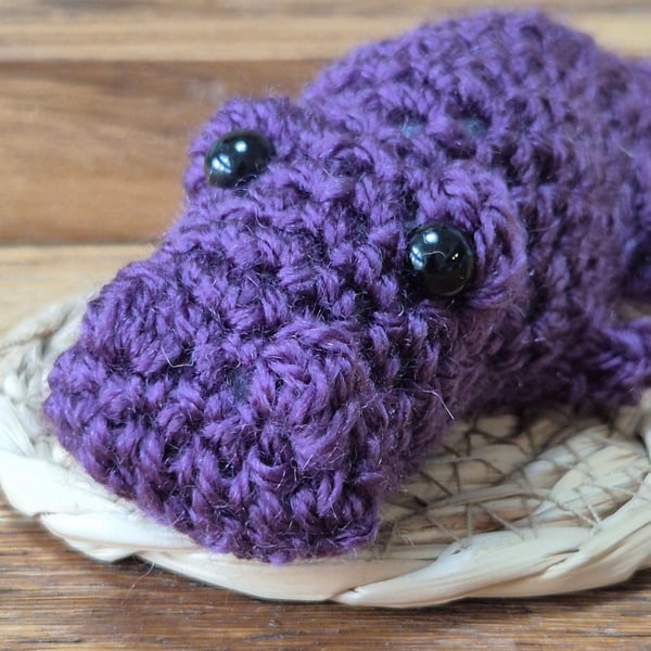 Crochet crocodile - Chompy the crocodile 