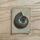 Original Ammonite ACEO Gouache Painting