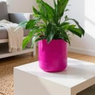 Extra Large Vibrant Magenta Plant Pot - Unique 19cm Indoor Cerise Planter