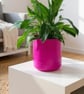 Extra Large Vibrant Magenta Plant Pot - Unique 19cm Indoor Cerise Planter