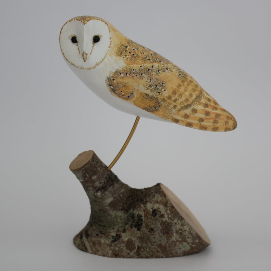 Mini barn owl
