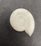 2.5-  Ammonite Fossil fridge magnet in cement
