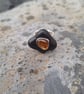 Silver ring with bogwood and citrine. - Image 1
