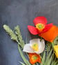 Paper poppy bouquet - Image 5