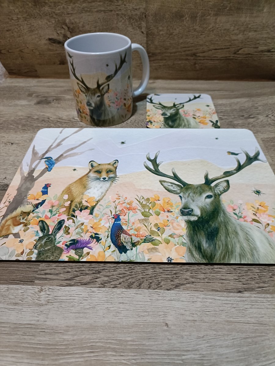 Beautiful Placemats with hand drawn images British wildlife 