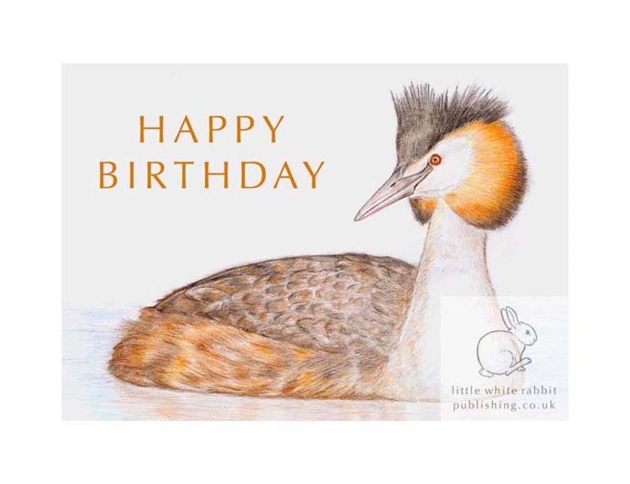 Great Crested Grebe - Birthday Card