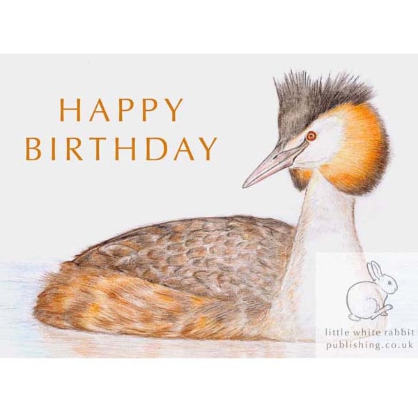 Great Crested Grebe - Birthday Card