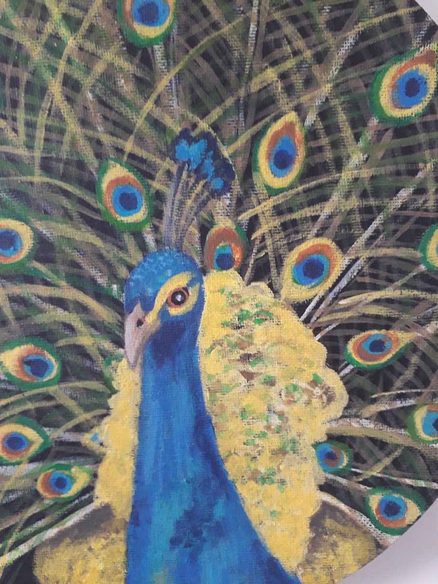 Denise's Doodle Den