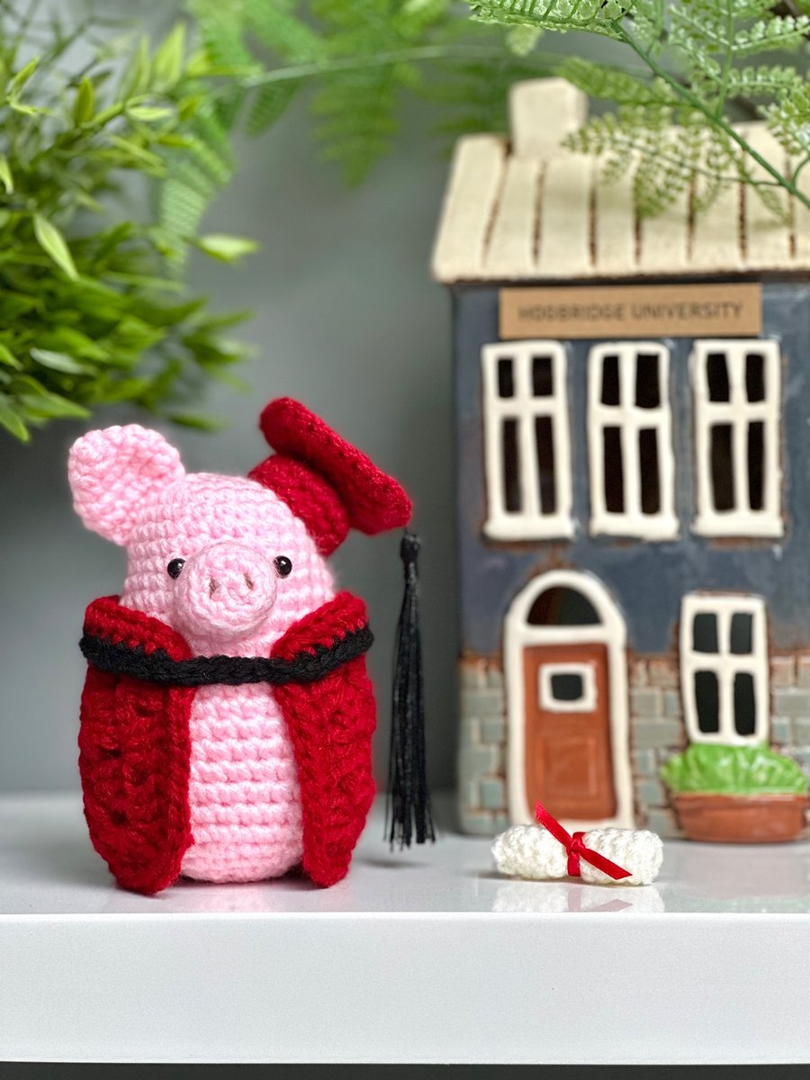 Snoutstanding Achievement! Graduation Piggy in a Blanket