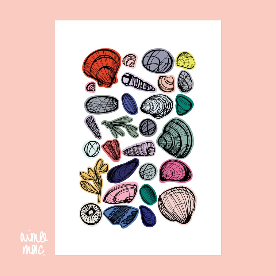 Illustrated Sea Shells Wall Art Print - A4