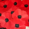 CHARITY ALERT! Every Poppy Counts fundraiser: 15" Billy window poppy