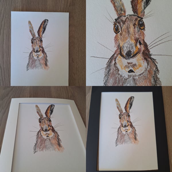 Goofy rabbit 