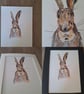 Goofy rabbit  - Image 1