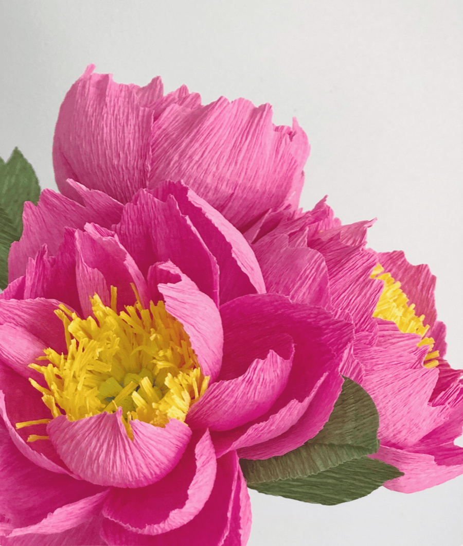 A Bouquet of Billowing Bright Pink Peonies