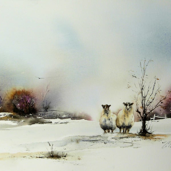 Two Sheep, Original Watercolour Painting.